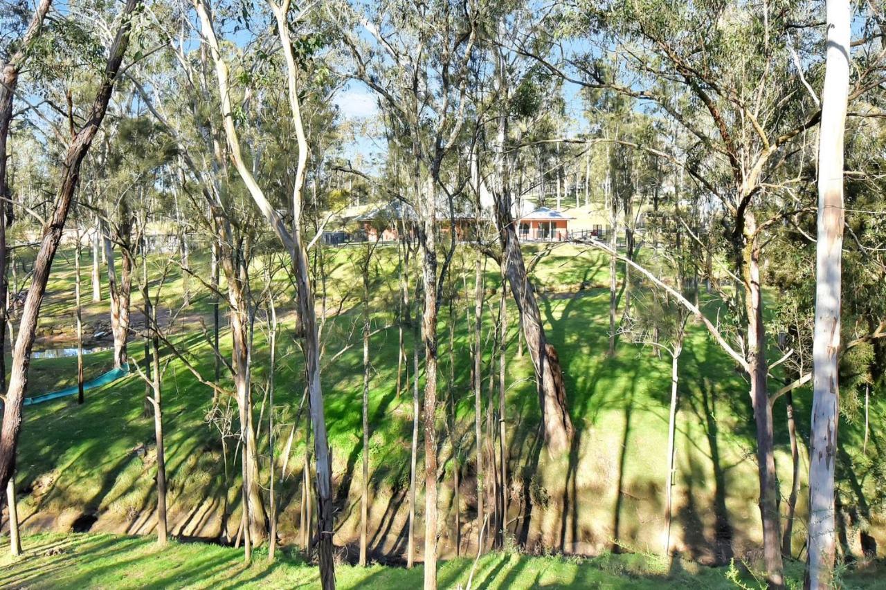 Wongaburra Homestead Branxton Kültér fotó