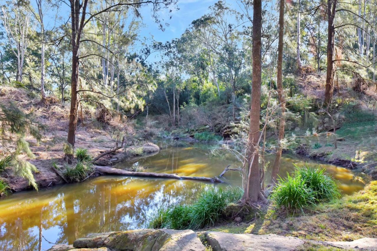 Wongaburra Homestead Branxton Kültér fotó